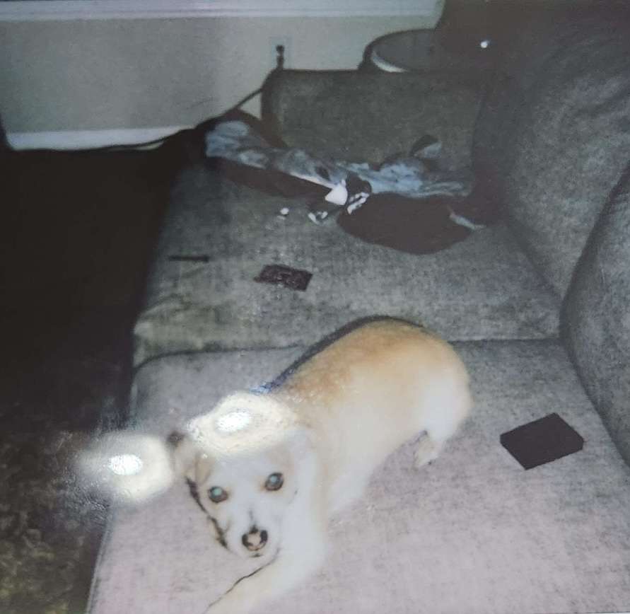 A certain woman cast an upper millstone on Abimelech's head, and broke his skull. 