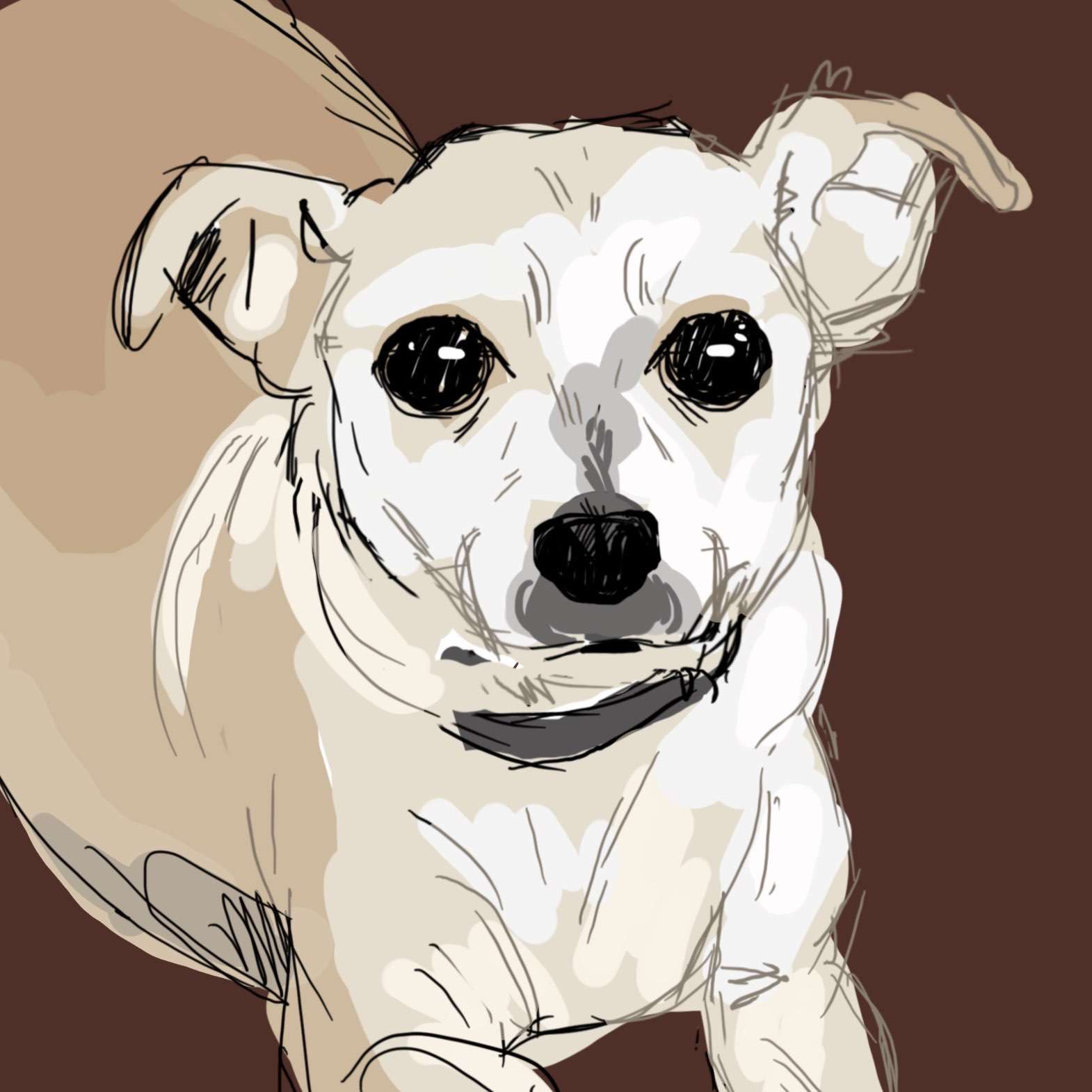 I sought the LORD, and He answered me and delivered me from all my fears. Those who look to Him are radiant, and their faces shall never be ashamed. Oh, taste and see that the LORD is good! Blessed is the man who takes refuge in Him!