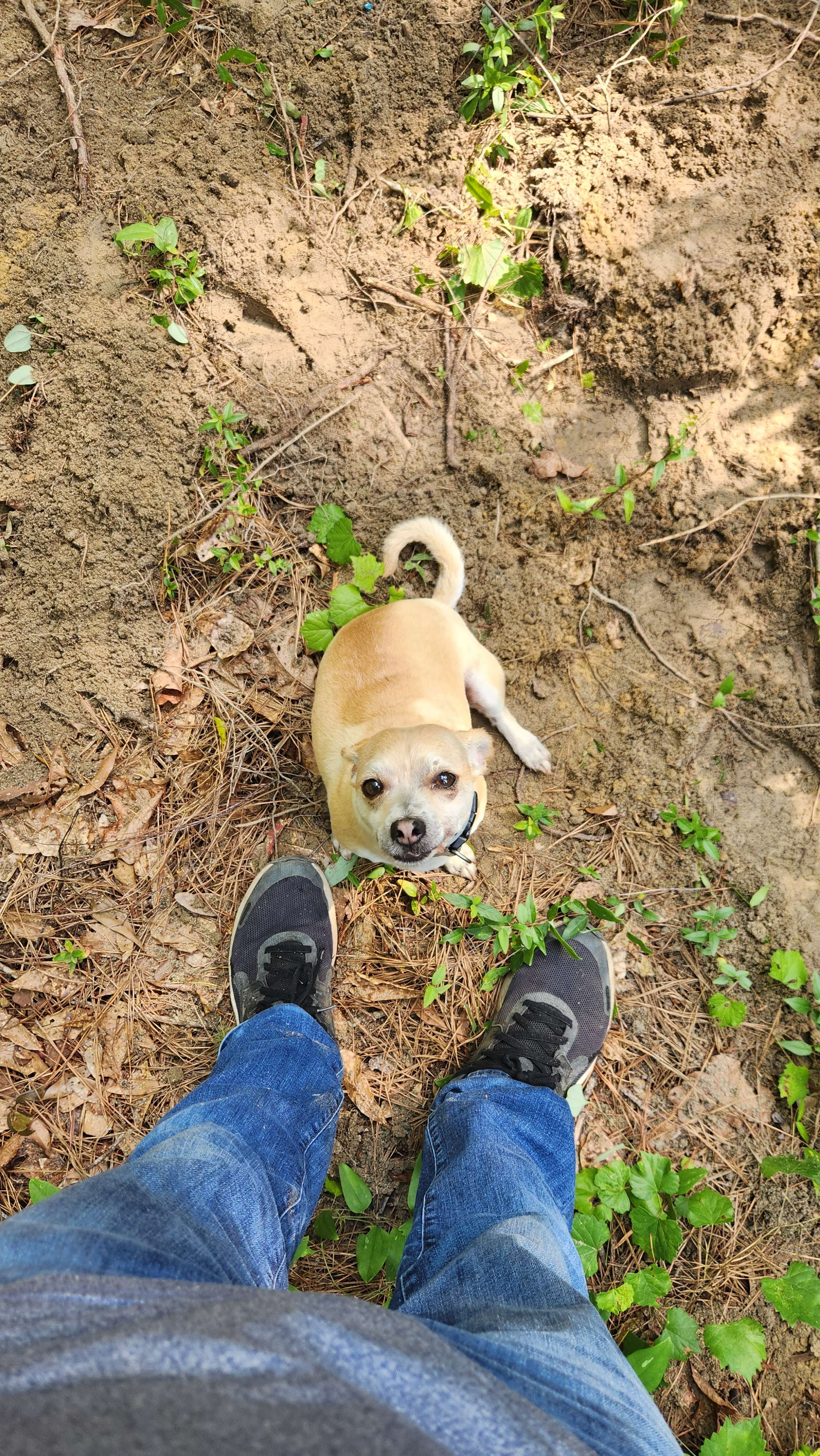 May the God of hope fill you with all joy and peace as you trust in Him, so that you may overflow with hope by the power of the Holy Spirit.