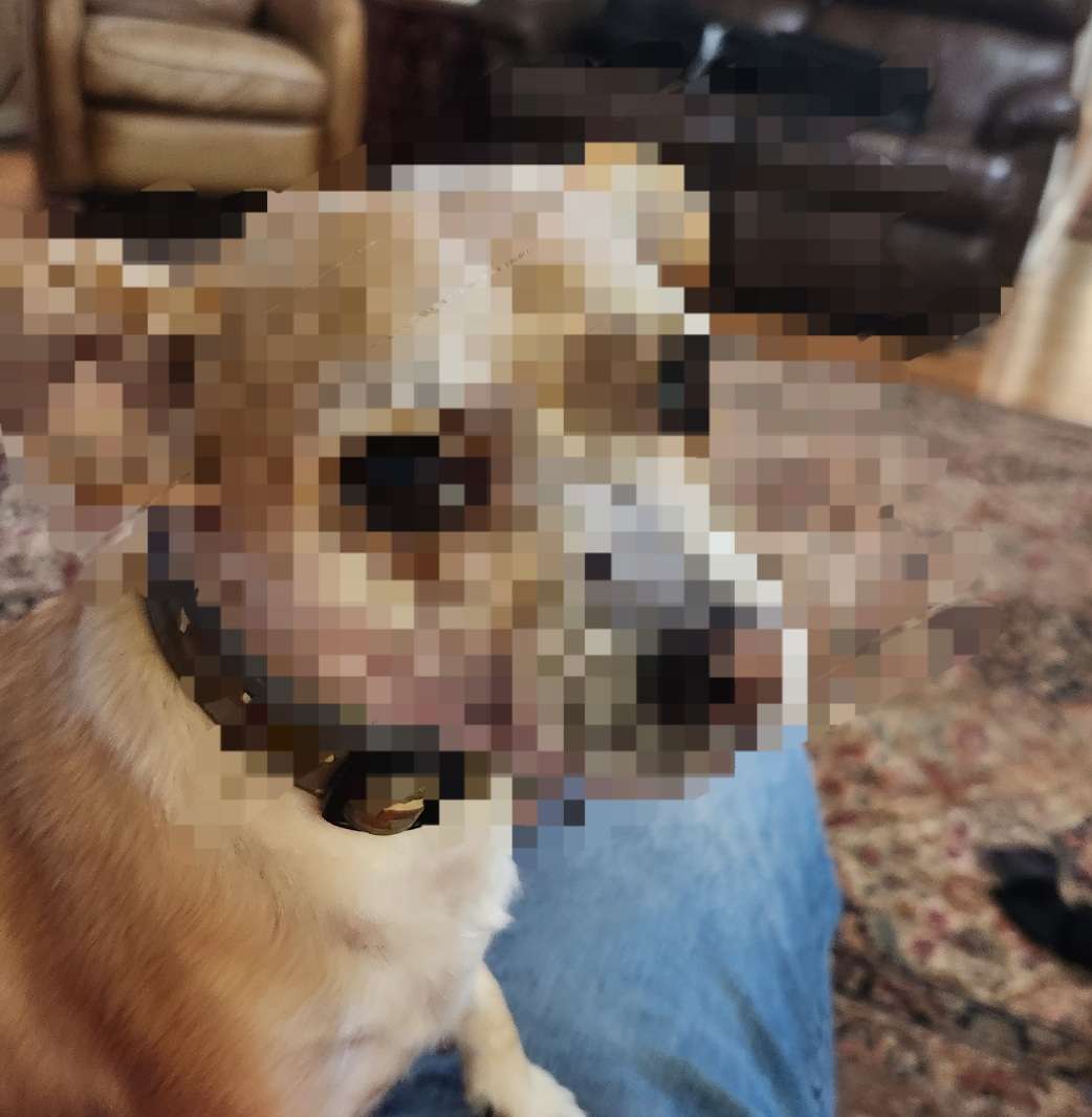 If my people who are called by My name humble themselves, and pray and seek My face and turn from their wicked ways, then I will hear from heaven and will forgive their sin and heal their land.