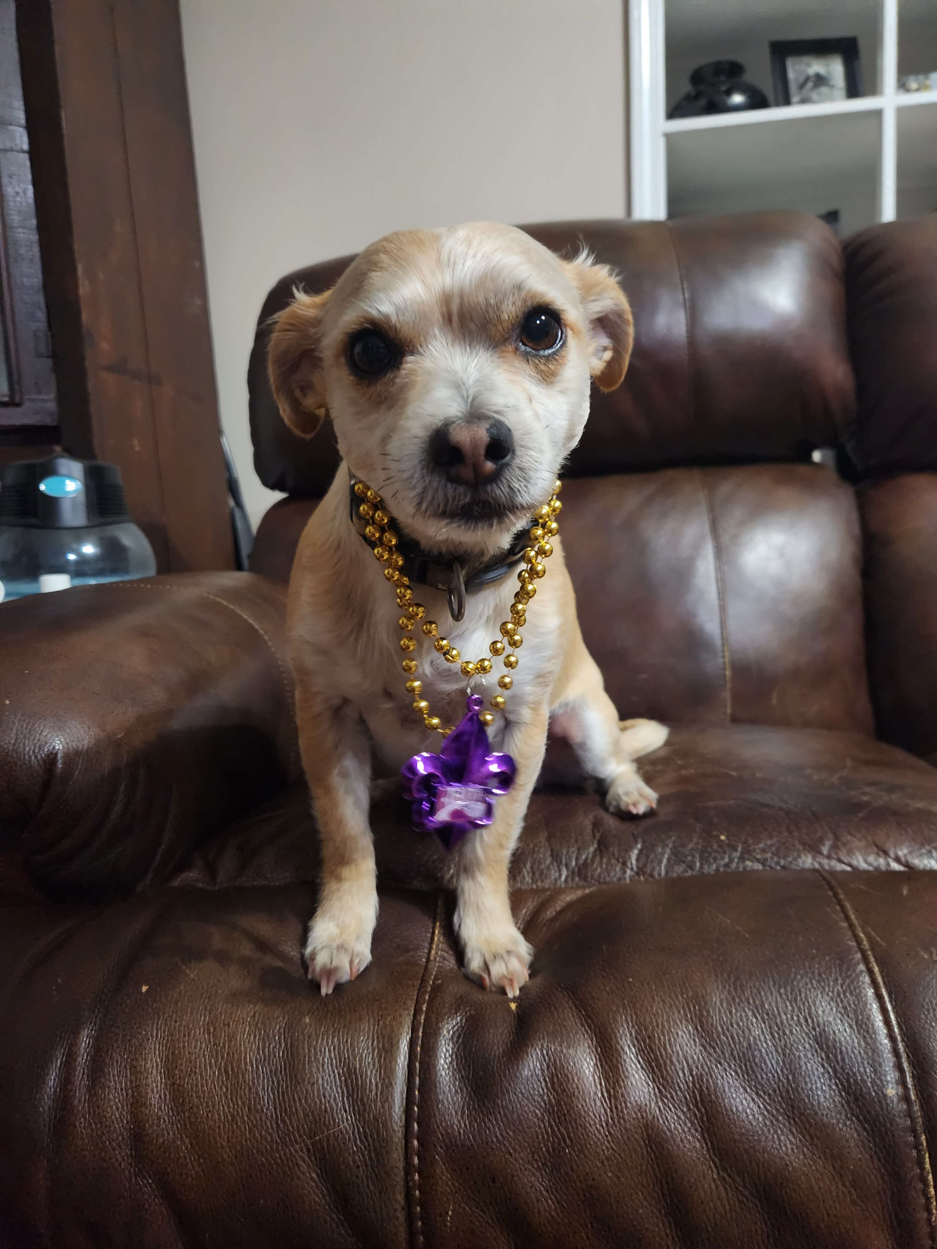 You will keep in perfect peace those whose minds are steadfast, because they trust in you. 